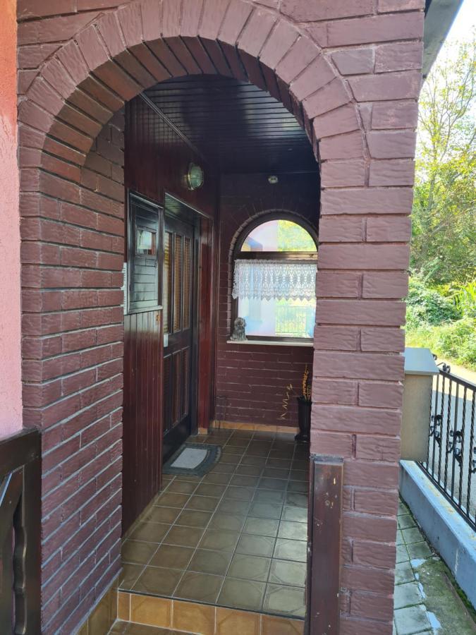 In Pavlovic Apartment Banja Koviljača Exterior foto