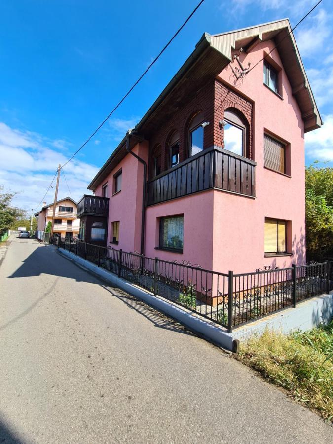 In Pavlovic Apartment Banja Koviljača Exterior foto
